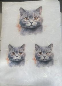 Rice Paper for Decoupage, BRITISH SHORTHAIR CAT  1 x 14cm & 2 x 10cm on A4 Sheet