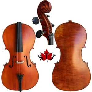 Il MOST MATURO,1pz violoncello Stradivari!Livello orchestra.WIDE DEEP TONE #15588 - Foto 1 di 14