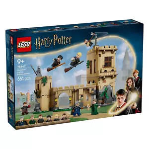 LEGO 76447 - Harry Potter - Hogwarts Castle: Flying Lessons - FREE SHIPPING - Picture 1 of 13