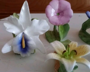 9 Bone China Hand Painted Floral Napkin Rings Rose Lily Morning Glory Anthurium - Picture 1 of 17
