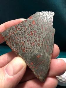 Agatized Utah Dinosaur Gem Bone Fossil Polished Slab Slice Cabbing 36.8 grams - Picture 1 of 6