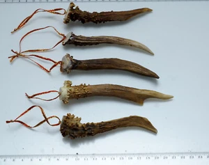 Schöner weihnachtlicher Baumschmuck aus 5 echten Geweihstangen - Bild 1 von 2