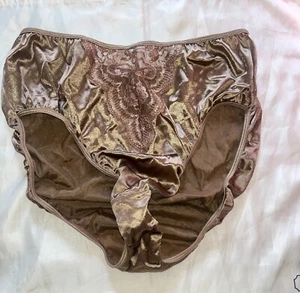 Vintage Panty- The Woman Within-Front Lace SHINY!!!! Cotton Gusset-Size 8 XL - Picture 1 of 12