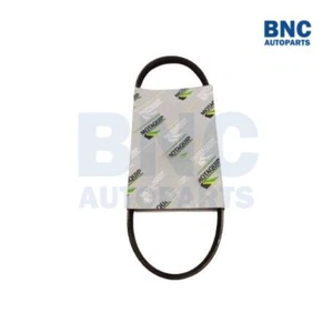 V-Ribbed Drive Belt for TOYOTA COROLLA from 1988 to 2000 - MQ (2) - Picture 1 of 1
