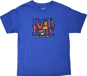 Volcom Kids Blue Short Sleeve Cotton Crew Established 1991 Soft Knit T Shirt L - Picture 1 of 2