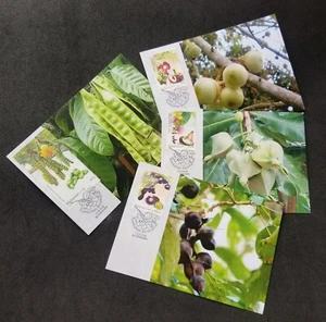 *FREE SHIP Malaysia Medicinal Plants IV 2018 Fruits Food Flower (maxicard) *rare - Picture 1 of 6