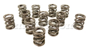 Juego de muelles de válvula árbol de levas Fiat Dino 2000 2400 Rallye & Race nuevo - Imagen 1 de 1