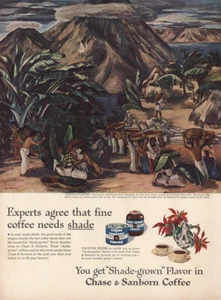 1946 Chase & Sanborn Coffee: Fine Coffee Needs Shade Vintage Print Ad - Picture 1 of 1