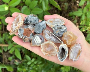 Bulk Clearance Oco Agate Geodes 1/2 lb Lot, Natural Crystal Druzy Halves (8 oz) - Picture 1 of 9