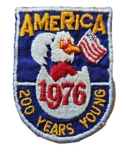 USA 200 Years Young 1976 Eagle Chick Patch Badge 50mm x 68mm - Picture 1 of 4