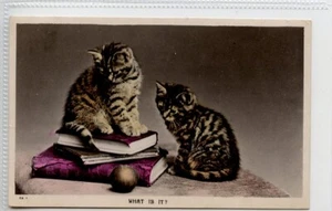 (Gc9476) RPPC, lindo gato, gatito postal, qué es, libro, pelota 1909 - Imagen 1 de 4