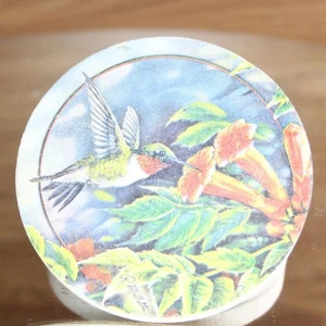 Coasters Humingbird Trumpet Flowers Sandstone Set of 4 w/Holder Thirsty Stone - Picture 1 of 23