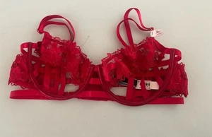 Victoria’s Secret VS Ziggy Glam Open Cup Red Satin Floral Embroidered 36C NWT - Picture 1 of 3