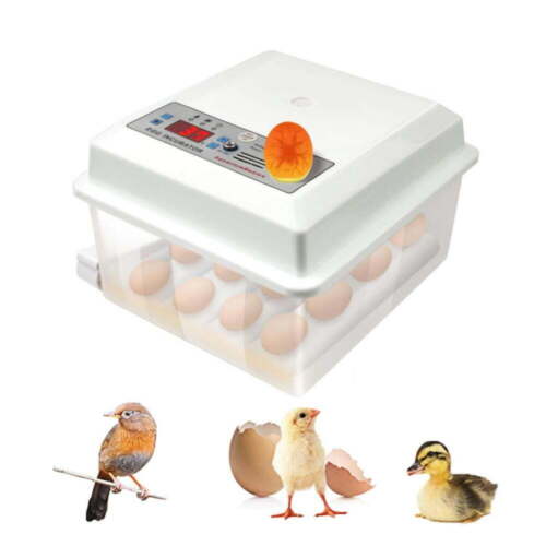 Incubadora automática para huevos de todo tipo de aves, máquina de incubación