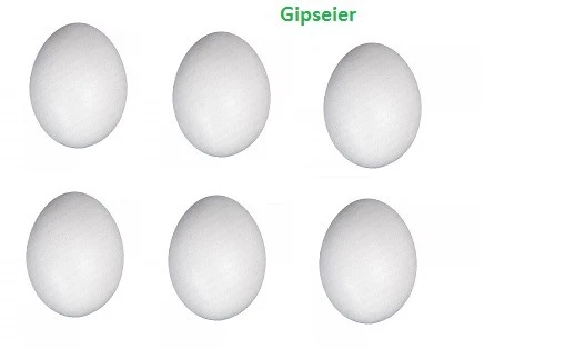  Nesteier Gipseier  Eier Geflügeleier Gänseeier Geflügelei 6 Stück weiß - Bild 1 von 1