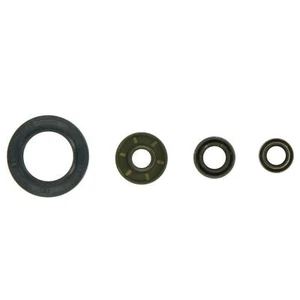 Guarnizioni O-Ring Per Ktm Adventure Super Duke Supermoto 950 990 - Foto 1 di 2