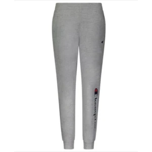 Champion Big Boys Fleece Joggers with Side Script and Tapered Leg, Gray - XL - Picture 1 of 4