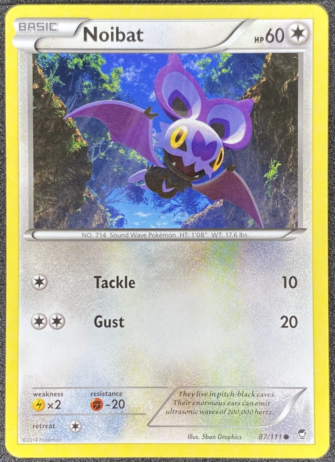 Pokémon Noibat 87/111 FFI Furious Fists LP/NM