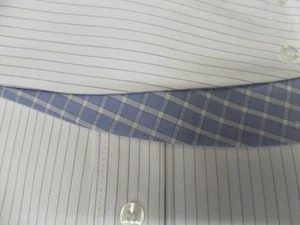 Show Shirts by Allon Equestrian with Ratcatcher Attachment Collar 100% Cotton - Picture 1 of 25