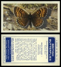 Heath Fritillary #17 British Butterflies 1963 Brooke Bond Tea Card