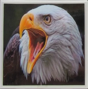 1er Set - Handgefertigte Keramikfliesen Untersetzer - Adler (Kaufen Sie 3 erhalten Sie 1 gratis) 2 C - Bild 1 von 6