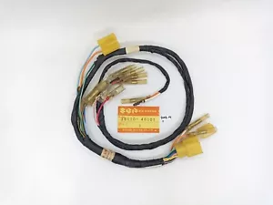 Main Wiring NOS Japan Suzuki TS125 TS125C TS125N 78-79 36620-48001 WIRINGLOOM - Bild 1 von 4