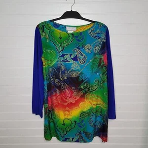 Diane Gilman Silk Rainbow Burnout Long Sleeve Tunic Top Size Large Art Paisley - Picture 1 of 7