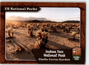 Tarjetas fascinantes Parques Nacionales de Estados Unidos #135 Parque Nacional Joshua Tree - Imagen 1 de 2