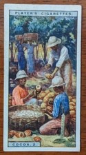 1928 Players Cigarettes Products of the world #7 Cocoa No 2 Trinidad 