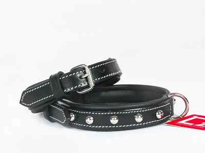 ZAIN TACK LEATHER SMALL DOG COLLARS FULLY PADDED CHROME FITTINGS