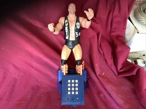 Steve Austin 3:16 Collectible WE Planet Toys. In The Ring 1999 - Imagen 1 de 7