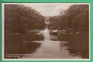 🌞SHOOTING THE RAPIDS & OLD WIER, KILLARNEY: REAL PHOTO😊BUY 2 GET 1 FREE - Foto 1 di 2