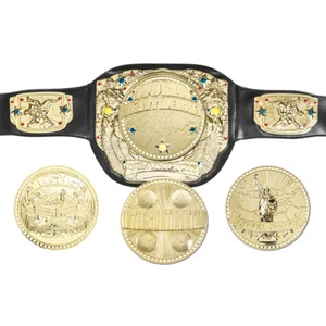 Spinning Wrestling Championship Toy Kid Sized Belt with Four Center Plates - Picture 1 of 12