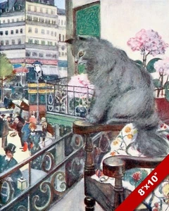 FRENCH CAT LOOKING OVER BALCONY KITTEN PET ANIMAL ART PAINTING REAL CANVAS PRINT - Bild 1 von 4
