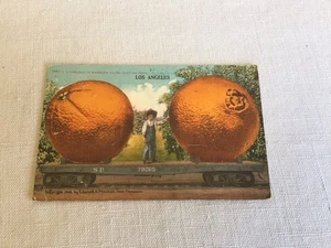 Antique 1925 Southern Pacific Railroad Mamoth Navel Oranges Advertising Postcard - Picture 1 of 2