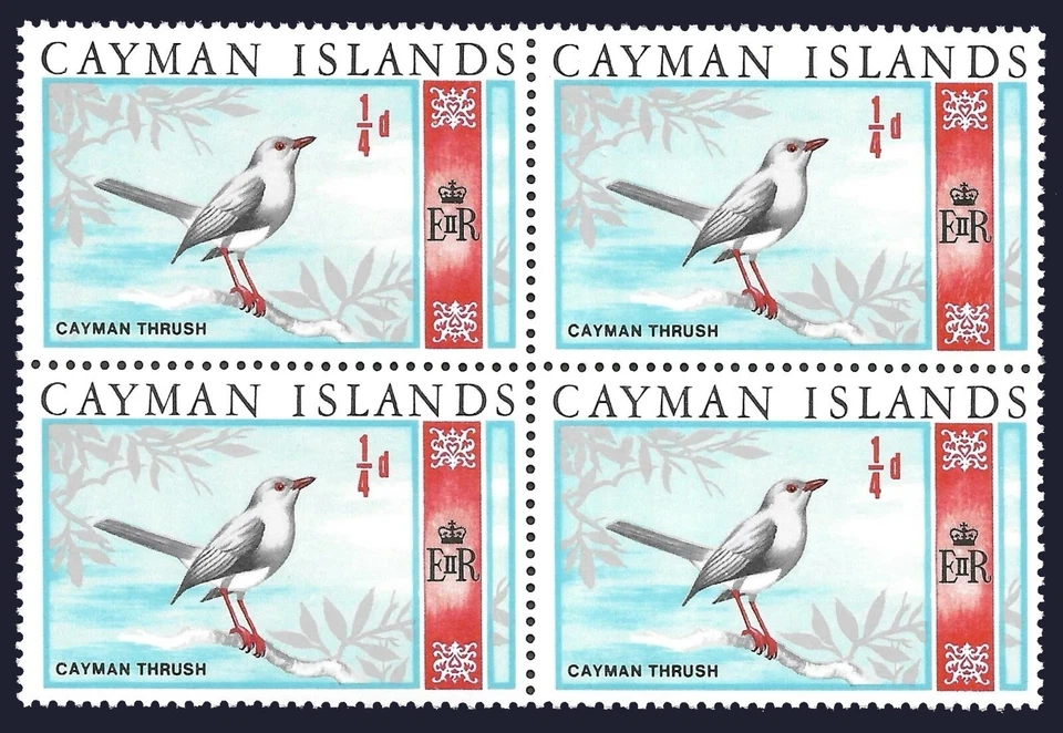 Cayman Thrush, Birds, Cayman Islands 1969 MNH Blk - Image 1 of 1