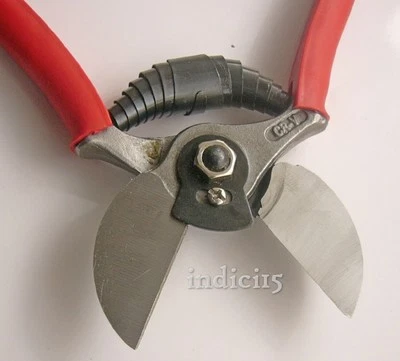 indici15 Forbice da Potatura a 2 tagli Acciaio Forgiato Professionale bernigroup