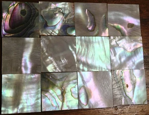 28.9 grams (12pcs) Abalone Fretboard Inlay NOS Gibson Kalamazoo Factory Lot-2 - Picture 1 of 5