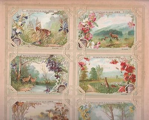 LIEBIG  SET OF  FIELD & FOREST FRENCH TRADE CARDS WITH UNIQUE FRAME - Picture 1 of 4