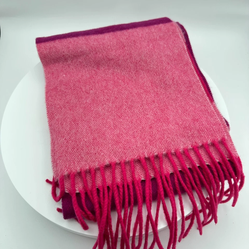 Ann Taylor Cashmere Scarf Long Pink Ombre Color Block Stripe Fringe Quiet Luxury - Image 1 of 4