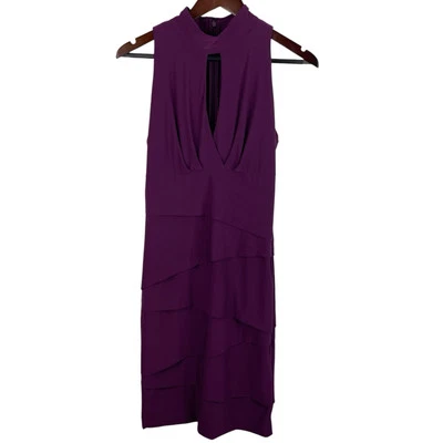 Vestido adelgazante instantáneo de bayas talla 8 mercado negro de la Casa Blanca fiesta Foto 1 de 4