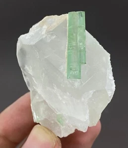 Hermoso cristal de turmalina de 56,97 gramos con muestra de Afganistán - Imagen 1 de 5