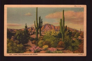 POSTCARD : ARIZONA - PHOENIX AZ - CAMEL BACK MOUNTAIN & DESERT LINEN VIEW - Picture 1 of 2