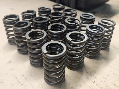 1995 Mazda Miata (MX-5) Valve Springs Set - Image 1 of 4