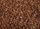 Orchid Bark Chips Reptile Substrate Reptile Mantis Spider Pine 