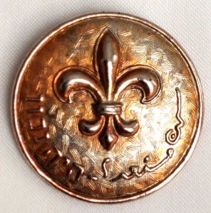 Prendedor insignia Israel movimiento exploradores drusos vintage Haya Nachon - Imagen 1 de 2