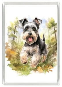 SCHNAUZER CUTE RUNNING DOG  ART PRINT NOVELTY ACRYLIC FRIDGE MAGNET GREAT GIFT - Picture 1 of 1