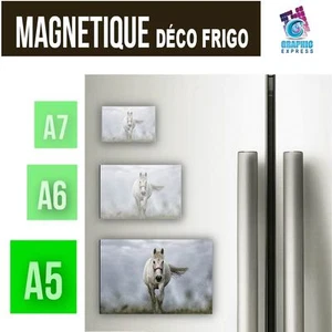 A5 - A6 - A7 - MAGNETIQUE DECO - CHEVAL CHEVAUX POULAIN JUMENT ANIMAUX CH-04 - Foto 1 di 7
