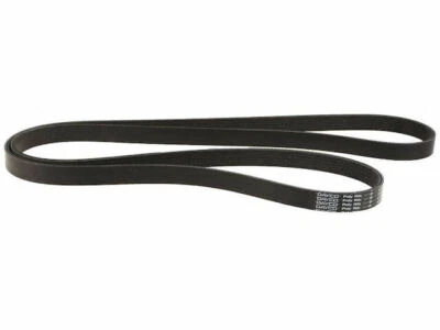 Cinturón multi costilla Dayco 55688TT para BMW 328xi 2007-2008 Foto 1 de 2