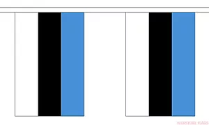ESTONIA BUNTING 9 metres 30 feet 30 flags flag Tallinn Estonian Russian - Foto 1 di 1